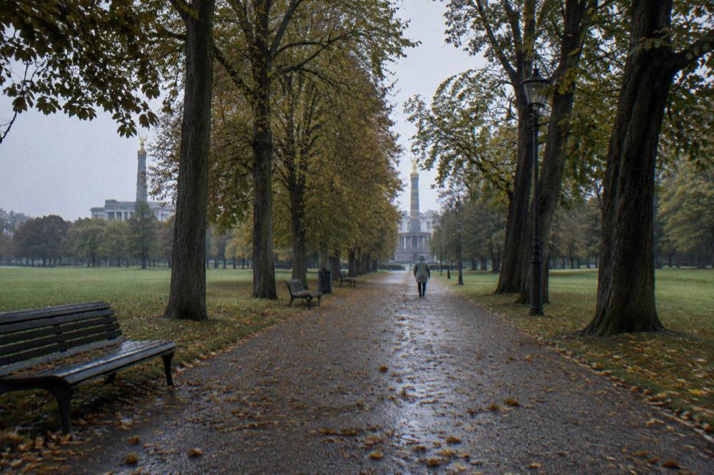 Tree-lined path in a large Berlin city park with lawns on both sides